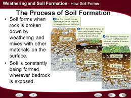 Soil formation is the result of long processes (paedogenesis) that are generally based on the alteration (that is change) of inorganic (minerals and rocks) and organic compounds (plants and dead animals. Best Viral News Today Process Of Soil Formation Pdf 5 Primary Soil Forming Factors Spesial 5 Soil Formation And Morphology Basics