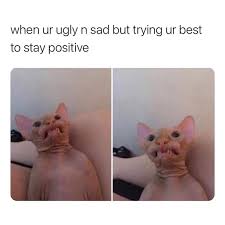 24 8,164 6 1 cat sad. When Ur Ugly N Sad But Trying Ur Best To Stay Positive Meme Ahseeit