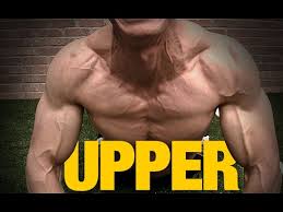 best upper chest exercise without