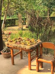 Tables Into Succulent Gardens