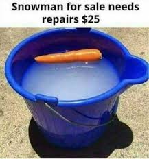 dopl3r.com - Memes - Snowman for sale needs repairs $25