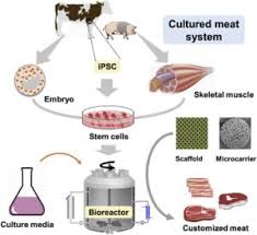 artificial meat ion a new