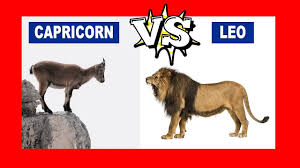 Capricorn Vs Leo Who Is The Strongest Zodiac Sign