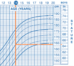 Average Height For A 14 Year Old Boys Height Average