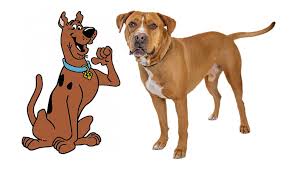 the best 72 famous cartoon dog names