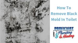 how to remove black mold in toilet
