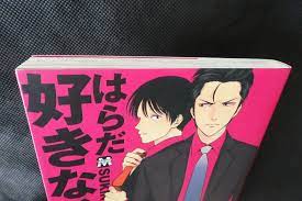 Nichan manga