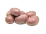 alouette  potatoes