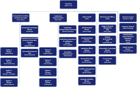 41 Comprehensive Communications Department Org Chart