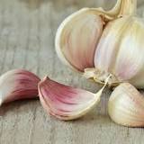 How much chopped garlic is a clove?