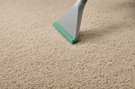 remove tea stains from carpet quickly