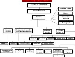 Organizational Structure Sport Academy