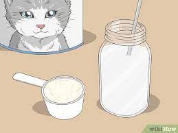 3 simple ways to make kitten formula