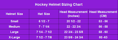 Top 6 Best Hockey Helmets Review 2020 Besthockeyproducts