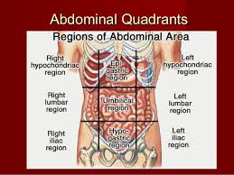 In anatomy and physiology, you'll learn how to divide the abdomen into nine different regions and four different quadrants. Introduction Abdomen Dr Gosai