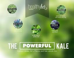 Guide To Kale Benefits Kale Recipes Healthy Her Living