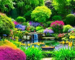 Garden Pond Waterfall Images Browse