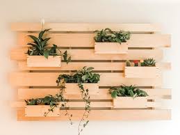 Buy Live House Plants Wall Planter