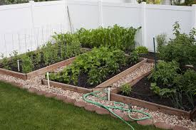 how to plan a vegetable garden layout