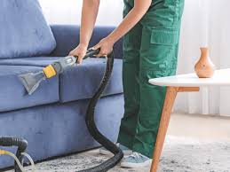 home eco dry carpet upholstery care