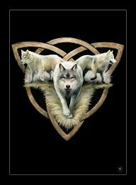 Wolves Wolf Trio Anne Stokes