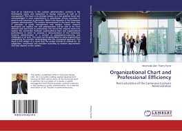 Organizational Chart And Professional Efficiency 978 613 9