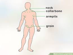 Are Your Lymph Nodes Swollen 6 Steps To Check Your Lymph Nodes