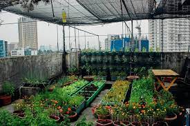 want to grow food in your home here s