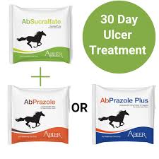 treat your horse s ulcers effectively