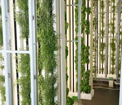 Indoor Farming Vertical Farming