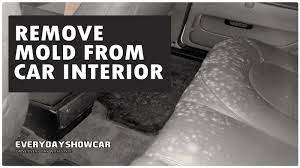 clean mold out of your car interior