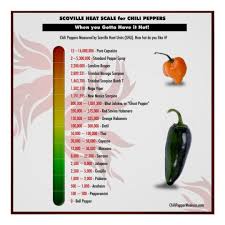 77 Explicit Chili Heat Scale