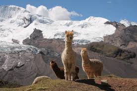 Peru verloor deze oorlog en moest twee provincies aan chili afstaan. 7 Grunde Warum Peru Das Ideale Einsteigerland Fur Sudamerika Ist