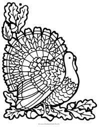 turkey coloring page a to z teacher