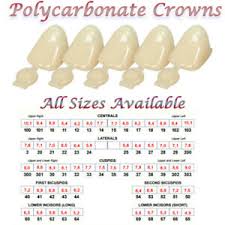 Details About Polycarbonate Temporary Dental Tooth Crowns All Sizes Available