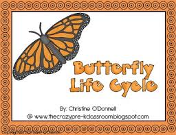 Butterfly Life Cycle Teacher Book Minibook Anchor Chart