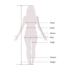 Body Measurements Size Chart Stock Vector Illustration Of
