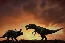 tyrannosaurus rex vs triceratops in a