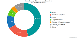 Northeastern University Diversity Racial Demographics