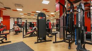 types of gym equipment for beginners