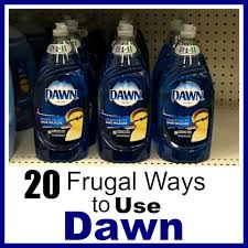 20 frugal ways to use dawn dish soap