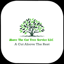 Our team is highly qualified for wildlife removal and wildlife prevention. Above The Cut Tree Service Llc Reviews Lawrenceville Ga Angi Angie S List