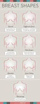 Guys, which breast shape do you find the most attractive? Girls, which  breast shape is yours? - Sexuality