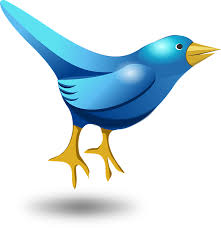 How to send a private message in twitterstep 1. Free Photo Messaging Cute Bird Funny Blue Tweet Twitter Max Pixel