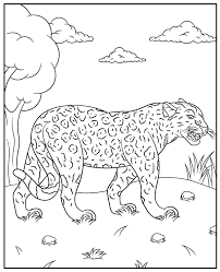 jaguar coloring page wild cat