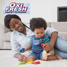 carpet cleaning in valparaiso