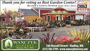 best garden center wanczyk evergreen