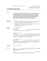Curriculum Vitae Examples For College Students Malawi Research