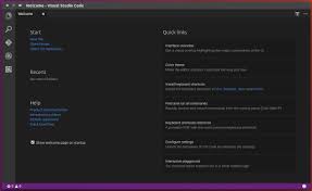 how to install ms visual studio code in