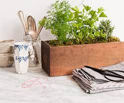 5 Kitchen Herb Garden Ideas Wallspan